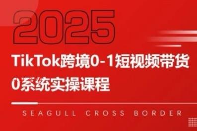 TikTok跨境0-1短视频带货，系统拆解TikTok跨境带货全链路，实现跨境可持续盈利