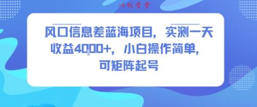 风口信息差蓝海项目，实测一天收益4k+，小白操作简单，可矩阵起号