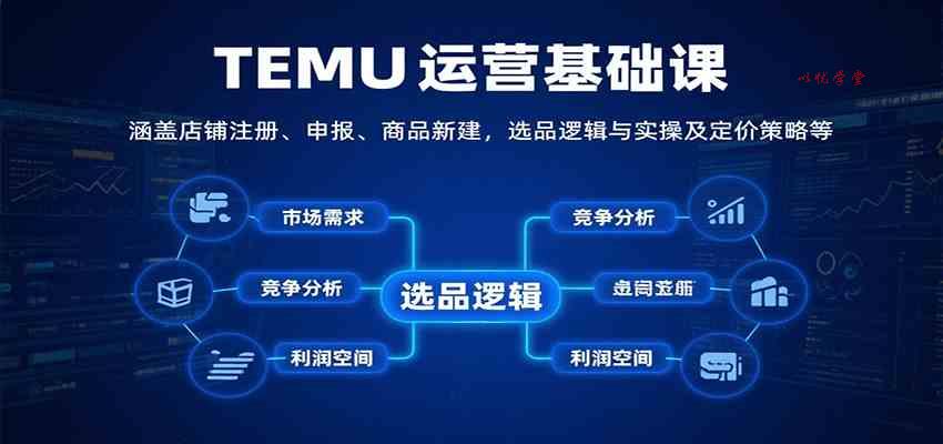 TEMU运营基础课：涵盖店铺注册、申报、商品新建，选品逻辑与实操及定价策略等