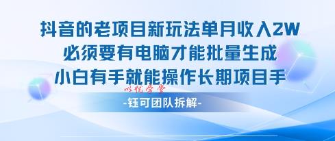 老项目新玩法单月收入2W小白有手就能操作长期项目