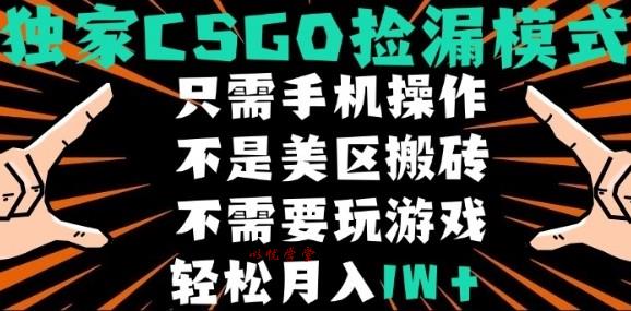 CSGO自动捡漏项目，最新独家玩法，不是美区搬砖，不需要了解和玩游戏，新手小白轻松月入1W+【揭秘】