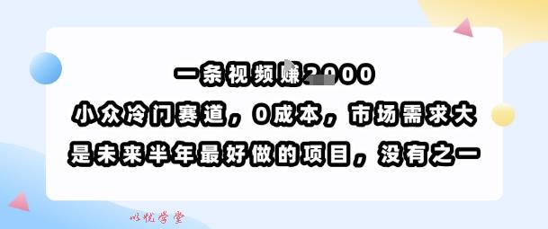 一条视频挣1k，小众冷门赛道，0成本，市场需求大，是未来半年最好做的项目，没有之一