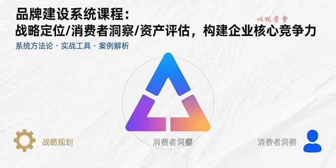 （15772期）品牌建设系统课程：战略定位/消费者洞察/资产评估，构建企业核心竞争力