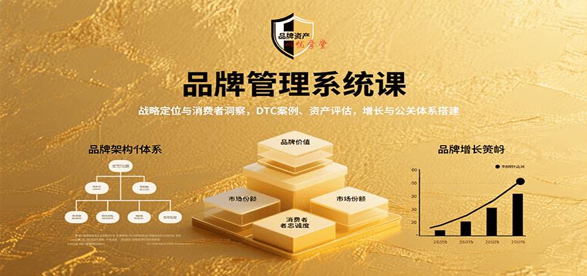 品牌管理系统课：战略定位与消费者洞察，DTC案例、资产评估，增长与公关体系搭建