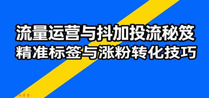 流量运营与抖加投流秘笈，含算法解析、爆款打造、精准标签与涨粉转化技巧