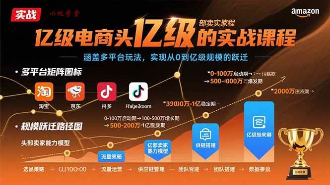 （15803期）亿级电商头部卖家的实战课程：涵盖多平台玩法，实现从0到亿级规模的跃迁