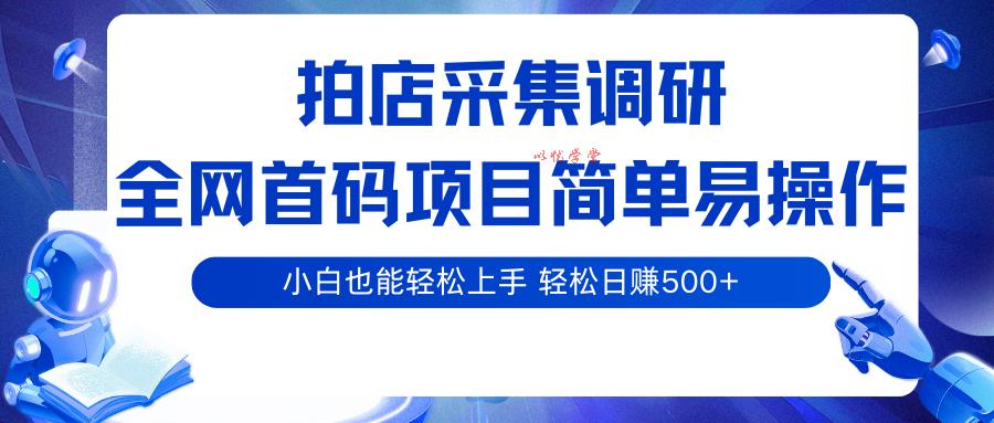 拍店采集调研，全网首码项目，简单易操作， 小白也能轻松上手，轻松日赚500+