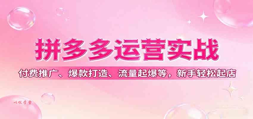 拼多多运营实战，付费推广、爆款打造、流量起爆等，新手轻松起店