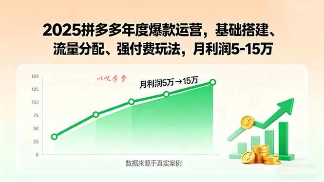 （15973期）2025拼多多年度爆款运营，基础搭建、流量分配、强付费玩法，月利润5-15万