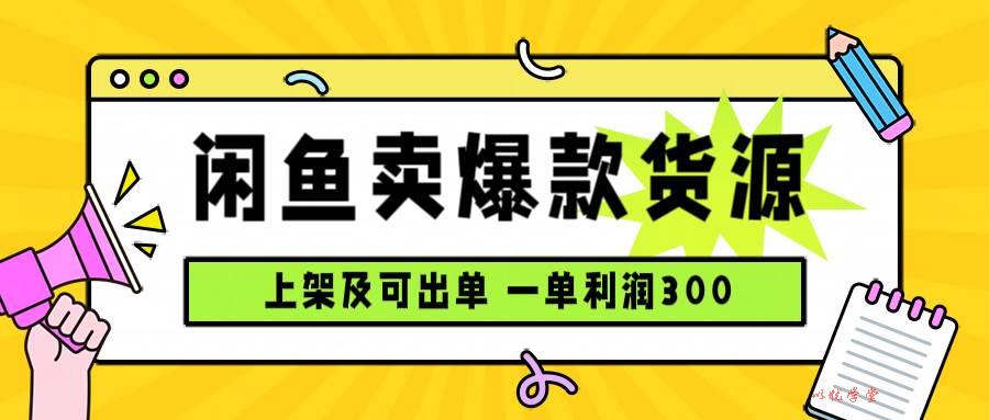 （15977期）闲鱼卖爆款货源，每天利润1000，上架即出单