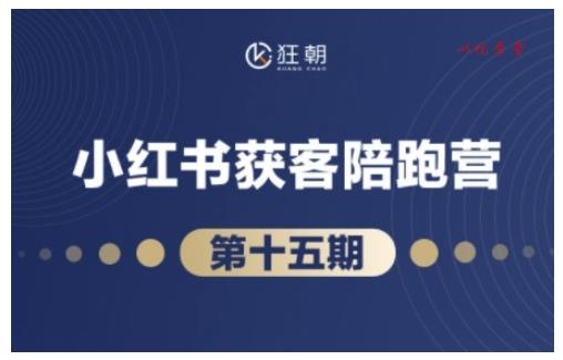抖音小红书视频号短视频带货与直播变现(11-18期),打造爆款内容,实现高效变现(更新)