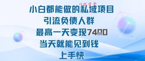 2025年小白都能做的私域项目引流负债人群最高一天变现1k+高变现难度低当天就能见到钱上手快