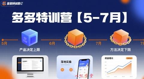 多多特训营,产品决定上限,方法决定下限,各种玩法技巧落地实操(更新)