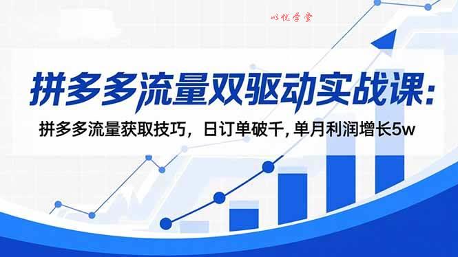 （16563期）拼多多流量双驱动实战课：拼多多流量获取技巧，日订单破千,单月利润增长5w