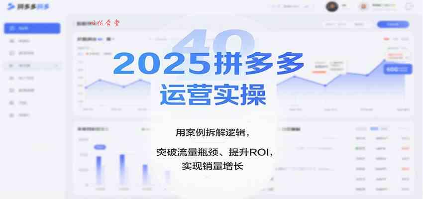 2025拼多多运营实操，用案例拆解逻辑，突破流量瓶颈、提升ROI，实现销量增长