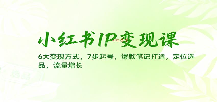 小红书IP变现课：6大变现方式，7步起号，爆款笔记打造，定位选品，流量增长