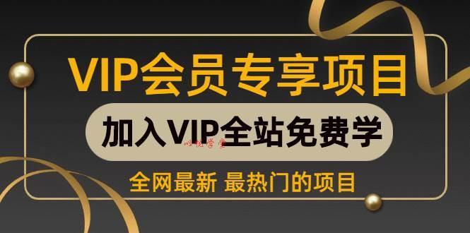 海外美金AI掘金项目，200U可入门槛，一天一单即可，每天1000-2000很轻松！