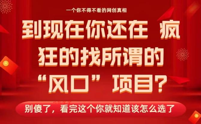 马上26年了，你还在找所谓的风口项目？别傻了，看完这个你全都懂了！【揭秘】