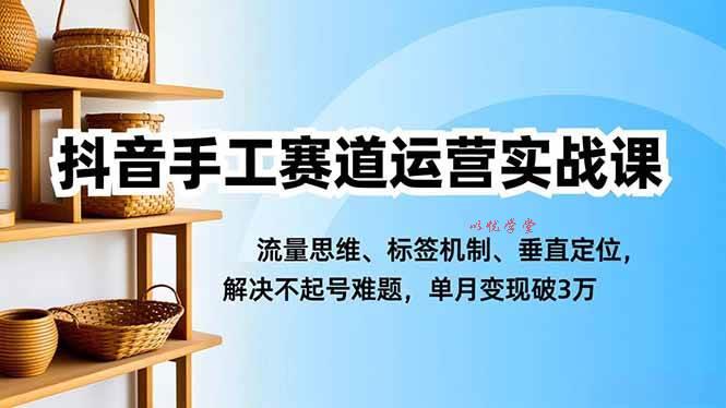 （16667期）抖音手工赛道运营实战课，流量思维、标签机制、垂直定位，解决不起号难题，单月变现破3万