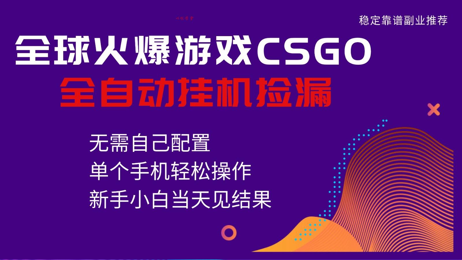 火爆游戏CSGO全自动捡漏，独家最新玩法，单个手机可操作，新手小白日入500+