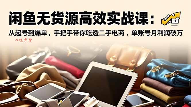 （16875期）闲鱼无货源高效实战课：从起号到爆单，手把手带你吃透二手电商，单账号月利润破万