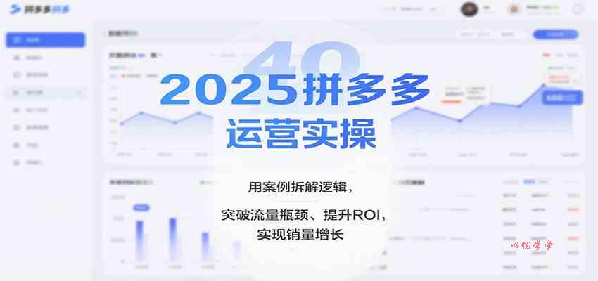 2025拼多多运营实操，用案例拆解逻辑，突破流量瓶颈、提升ROI，实现销量增长（更新）