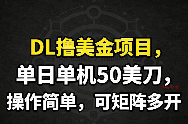 DL撸美金项目，单日单机50美刀，操作简单，可矩阵多开